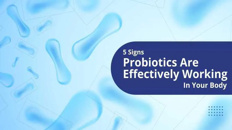 5_Signs_Probiotics_image